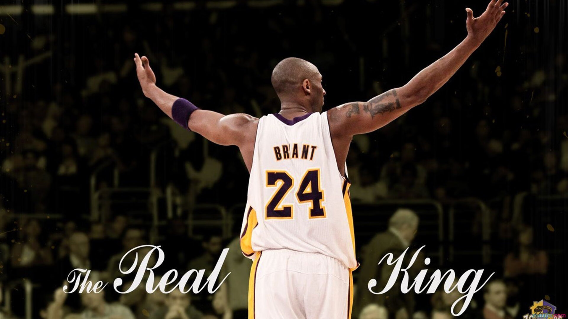 电竞比赛中的临场应变：灵活调整，适应变化，电竞活动应急方案